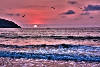 /album/paisajes/playa-jpg/